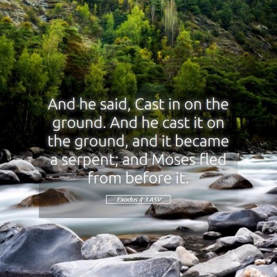 Picture 05 - Exodus 4:3 ASV - And he said, Cast in on the ground. And he cast - Bible Verse Picture