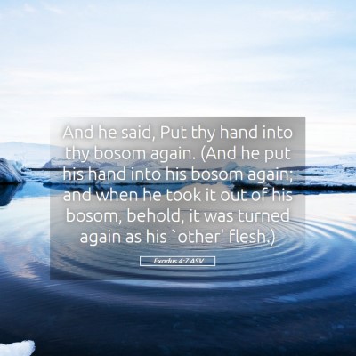 Picture 05 - Exodus 4:7 ASV - And he said, Put thy hand into thy bosom again. - Bible Verse Picture