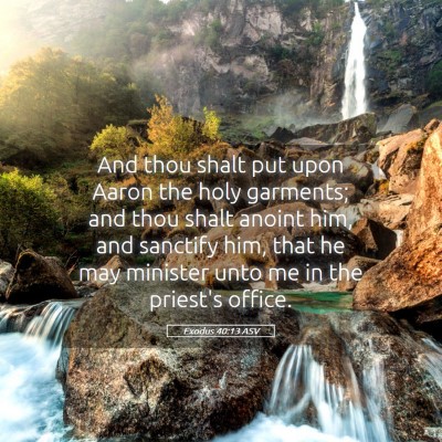 Picture 05 - Exodus 40:13 ASV - And thou shalt put upon Aaron the holy garments; - Bible Verse Picture