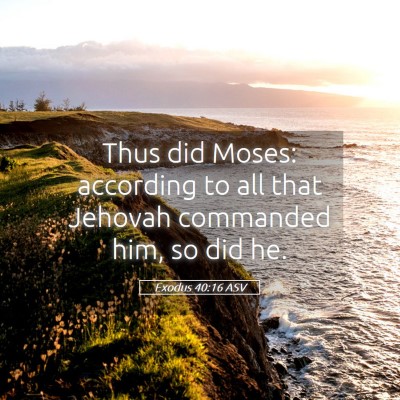 Picture 05 - Exodus 40:16 ASV - Thus did Moses: according to all that Jehovah - Bible Verse Picture