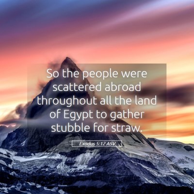 Picture 05 - Exodus 5:12 ASV - So the people were scattered abroad throughout - Bible Verse Picture