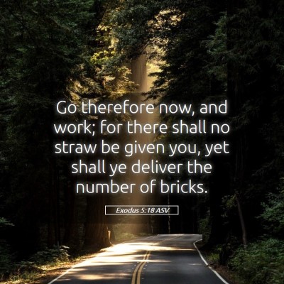 Picture 05 - Exodus 5:18 ASV - Go therefore now, and work; for there shall no - Bible Verse Picture