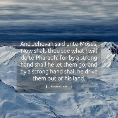 Picture 05 - Exodus 6:1 ASV - And Jehovah said unto Moses, Now shalt thou see - Bible Verse Picture