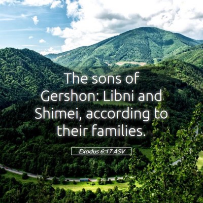 Picture 05 - Exodus 6:17 ASV - The sons of Gershon: Libni and Shimei, according - Bible Verse Picture