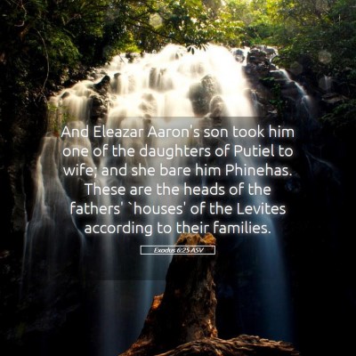 Picture 05 - Exodus 6:25 ASV - And Eleazar Aaron's son took him one of the - Bible Verse Picture