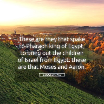 Picture 05 - Exodus 6:27 ASV - These are they that spake to Pharaoh king of - Bible Verse Picture