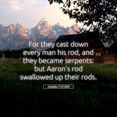Picture 05 - Exodus 7:12 ASV - For they cast down every man his rod, and they - Bible Verse Picture