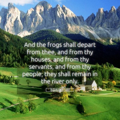 Picture 05 - Exodus 8:11 ASV - And the frogs shall depart from thee, and from - Bible Verse Picture