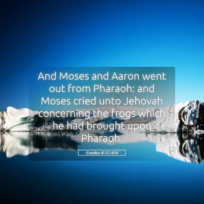 Picture 05 - Exodus 8:12 ASV - And Moses and Aaron went out from Pharaoh: and - Bible Verse Picture