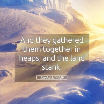 Picture 05 - Exodus 8:14 ASV - And they gathered them together in heaps; and the - Bible Verse Picture