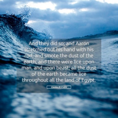 Picture 05 - Exodus 8:17 ASV - And they did so; and Aaron stretched out his hand - Bible Verse Picture