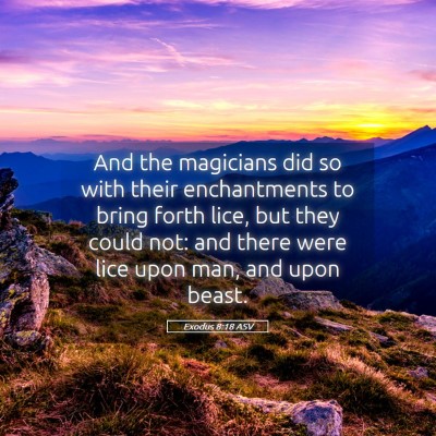 Picture 05 - Exodus 8:18 ASV - And the magicians did so with their enchantments - Bible Verse Picture