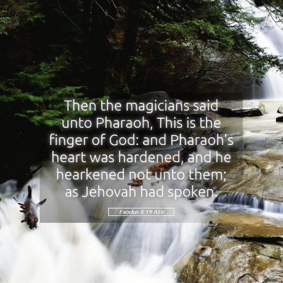 Picture 05 - Exodus 8:19 ASV - Then the magicians said unto Pharaoh, This is the - Bible Verse Picture