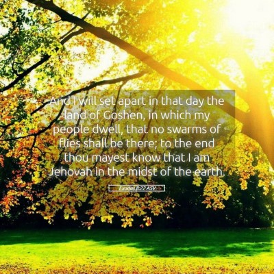 Picture 05 - Exodus 8:22 ASV - And I will set apart in that day the land of - Bible Verse Picture