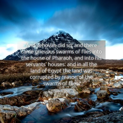 Picture 05 - Exodus 8:24 ASV - And Jehovah did so; and there came grievous - Bible Verse Picture