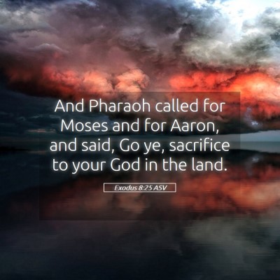 Picture 05 - Exodus 8:25 ASV - And Pharaoh called for Moses and for Aaron, and - Bible Verse Picture