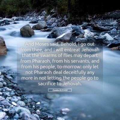 Picture 05 - Exodus 8:29 ASV - And Moses said, Behold, I go out from thee, and I - Bible Verse Picture