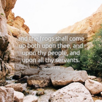 Picture 05 - Exodus 8:4 ASV - and the frogs shall come up both upon thee, and - Bible Verse Picture