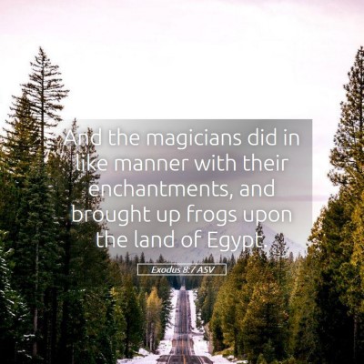 Picture 05 - Exodus 8:7 ASV - And the magicians did in like manner with their - Bible Verse Picture
