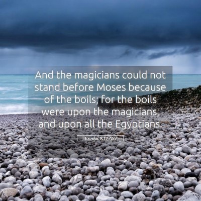 Picture 05 - Exodus 9:11 ASV - And the magicians could not stand before Moses - Bible Verse Picture