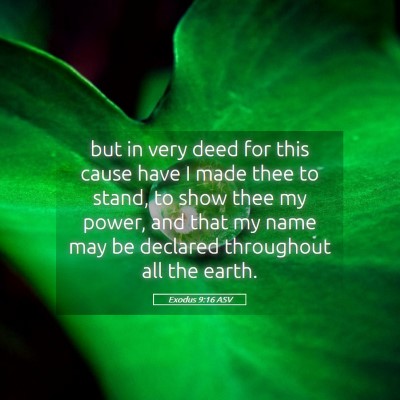 Picture 05 - Exodus 9:16 ASV - but in very deed for this cause have I made thee - Bible Verse Picture
