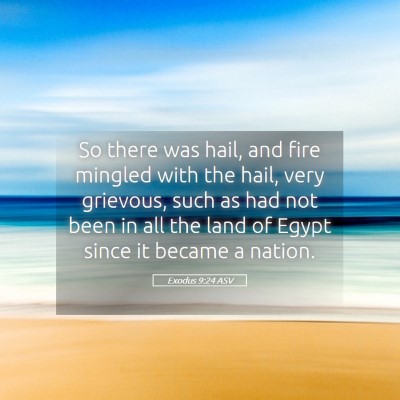 Picture 05 - Exodus 9:24 ASV - So there was hail, and fire mingled with the - Bible Verse Picture