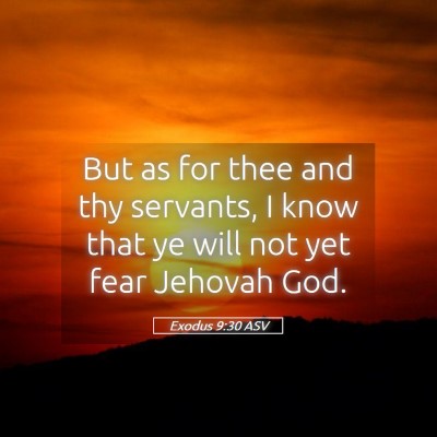 Picture 05 - Exodus 9:30 ASV - But as for thee and thy servants, I know that ye - Bible Verse Picture