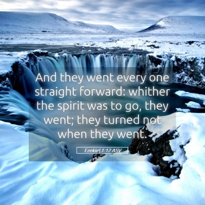 Picture 05 - Ezekiel 1:12 ASV - And they went every one straight forward: whither - Bible Verse Picture