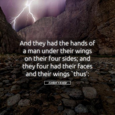 Picture 05 - Ezekiel 1:8 ASV - And they had the hands of a man under their wings - Bible Verse Picture