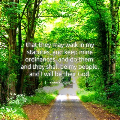 Picture 05 - Ezekiel 11:20 ASV - that they may walk in my statutes, and keep mine - Bible Verse Picture