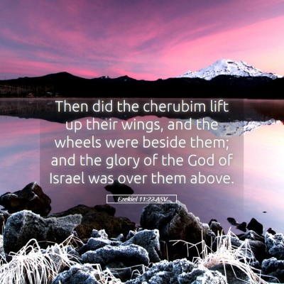 Picture 05 - Ezekiel 11:22 ASV - Then did the cherubim lift up their wings, and - Bible Verse Picture