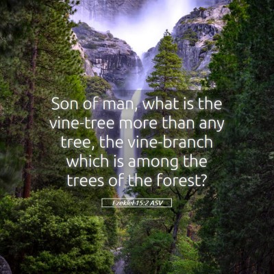 Picture 05 - Ezekiel 15:2 ASV - Son of man, what is the vine-tree more than any - Bible Verse Picture