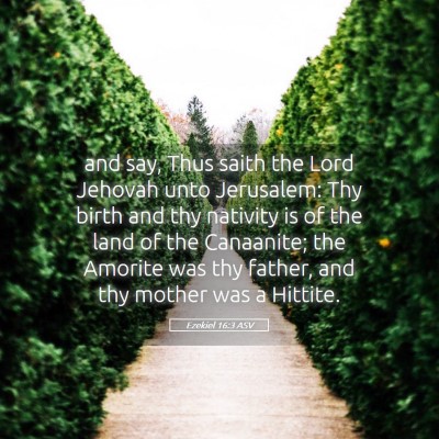 Picture 05 - Ezekiel 16:3 ASV - and say, Thus saith the Lord Jehovah unto - Bible Verse Picture