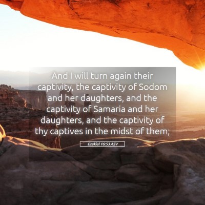 Picture 05 - Ezekiel 16:53 ASV - And I will turn again their captivity, the - Bible Verse Picture