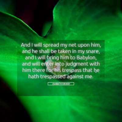 Picture 05 - Ezekiel 17:20 ASV - And I will spread my net upon him, and he shall - Bible Verse Picture