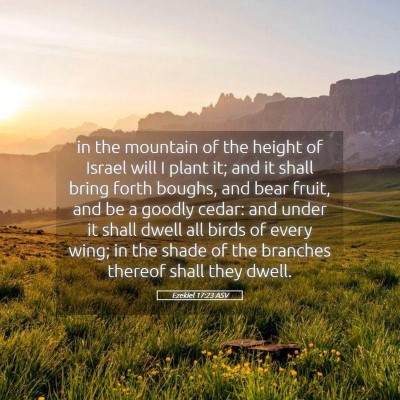 Picture 05 - Ezekiel 17:23 ASV - in the mountain of the height of Israel will I - Bible Verse Picture