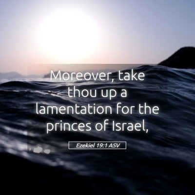 Picture 05 - Ezekiel 19:1 ASV - Moreover, take thou up a lamentation for the - Bible Verse Picture