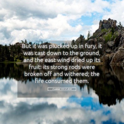 Picture 05 - Ezekiel 19:12 ASV - But it was plucked up in fury, it was cast down - Bible Verse Picture