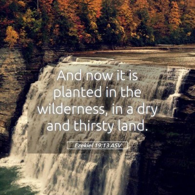 Picture 05 - Ezekiel 19:13 ASV - And now it is planted in the wilderness, in a dry - Bible Verse Picture