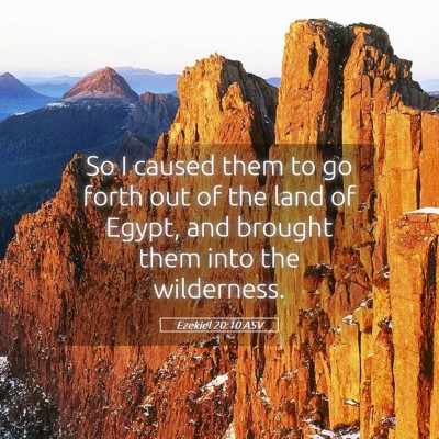 Picture 05 - Ezekiel 20:10 ASV - So I caused them to go forth out of the land of - Bible Verse Picture