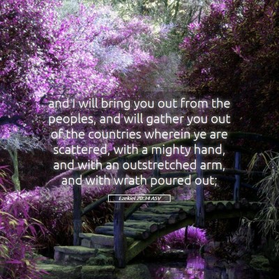 Picture 05 - Ezekiel 20:34 ASV - and I will bring you out from the peoples, and - Bible Verse Picture