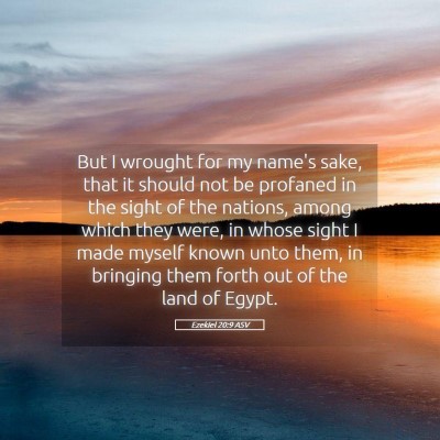 Picture 05 - Ezekiel 20:9 ASV - But I wrought for my name's sake, that it should - Bible Verse Picture