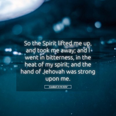 Picture 05 - Ezekiel 3:14 ASV - So the Spirit lifted me up, and took me away; and - Bible Verse Picture