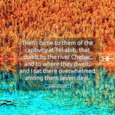 Picture 05 - Ezekiel 3:15 ASV - Then I came to them of the captivity at Tel-abib, - Bible Verse Picture