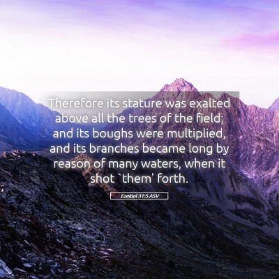 Picture 05 - Ezekiel 31:5 ASV - Therefore its stature was exalted above all the - Bible Verse Picture