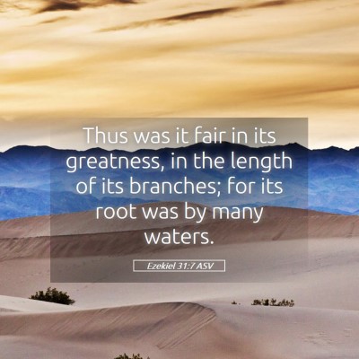 Picture 05 - Ezekiel 31:7 ASV - Thus was it fair in its greatness, in the length - Bible Verse Picture