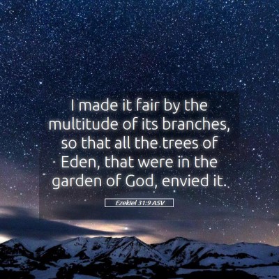 Picture 05 - Ezekiel 31:9 ASV - I made it fair by the multitude of its branches, - Bible Verse Picture