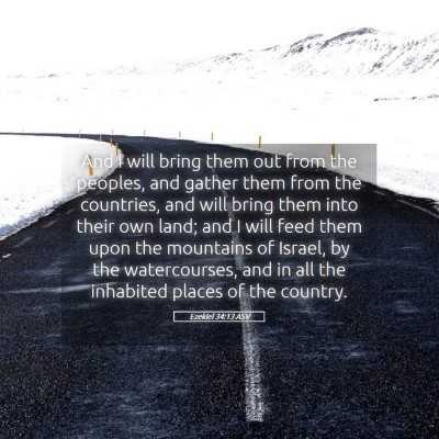 Picture 05 - Ezekiel 34:13 ASV - And I will bring them out from the peoples, and - Bible Verse Picture