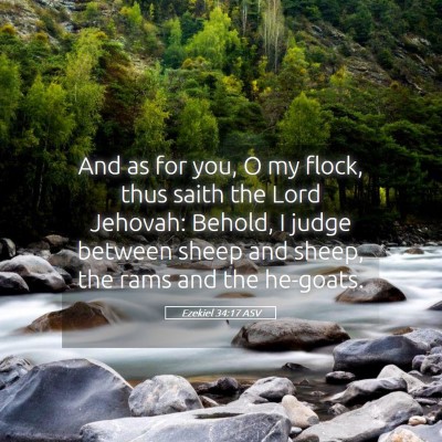 Picture 05 - Ezekiel 34:17 ASV - And as for you, O my flock, thus saith the Lord - Bible Verse Picture