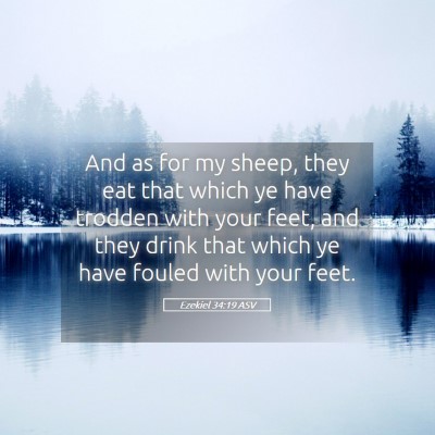 Picture 05 - Ezekiel 34:19 ASV - And as for my sheep, they eat that which ye have - Bible Verse Picture
